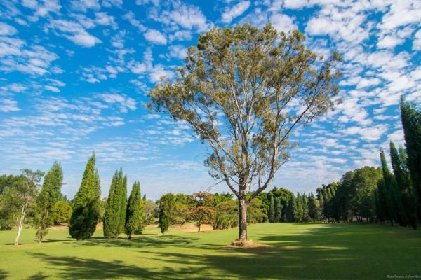 Golfplatz vom Garden Hill Golfhotel im Bundesstaat Minas Gerais.