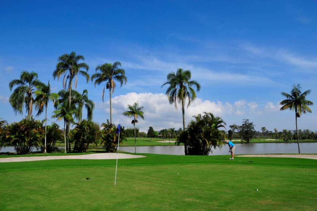 Palmen am Golfplatz vom Paradise Lake Golfclub in Mogi das Cruzes.