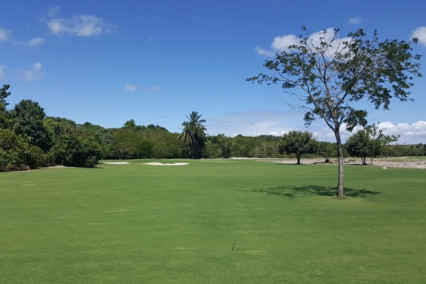 Blick auf den Riserva Alhandra Golfplatz im Bundesstaat Paraiba.
