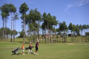 Bäume vom Golfplatz vom Riacho Grande Golfclub, ehemals Golden Lake.